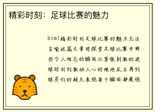 精彩时刻：足球比赛的魅力