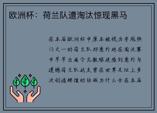 欧洲杯：荷兰队遭淘汰惊现黑马