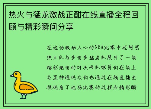 热火与猛龙激战正酣在线直播全程回顾与精彩瞬间分享