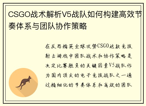 CSGO战术解析V5战队如何构建高效节奏体系与团队协作策略